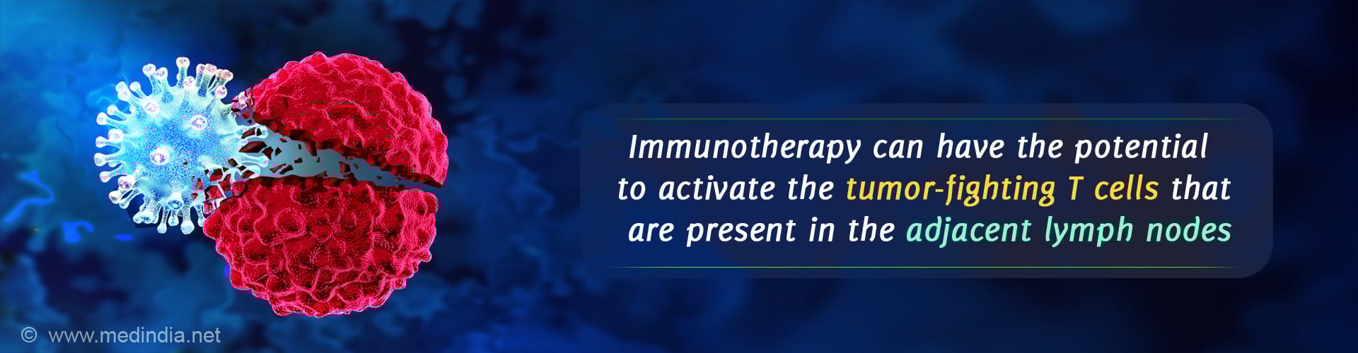 Lymph Nodes can Help You Fight Cancer