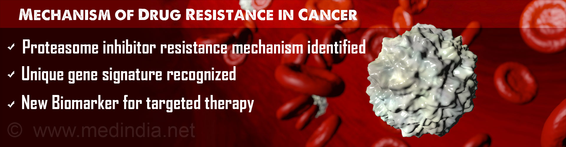 Gene Signature Identified in Mechanism of Resistance to Cancer Drug Therapy Gene Signature Identified in Mechanism of Resistance to Cancer Drug Therapy