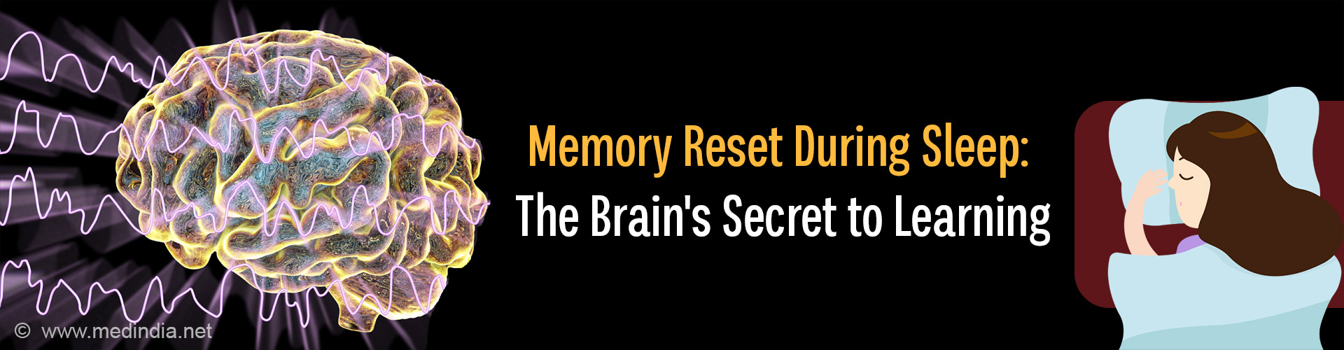 Sleep: The Brain's Memory Reset Button