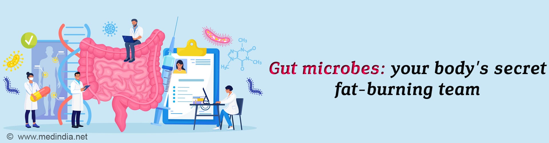 From Gut to Metabolism: How Microbes Control Fat and Cholesterol