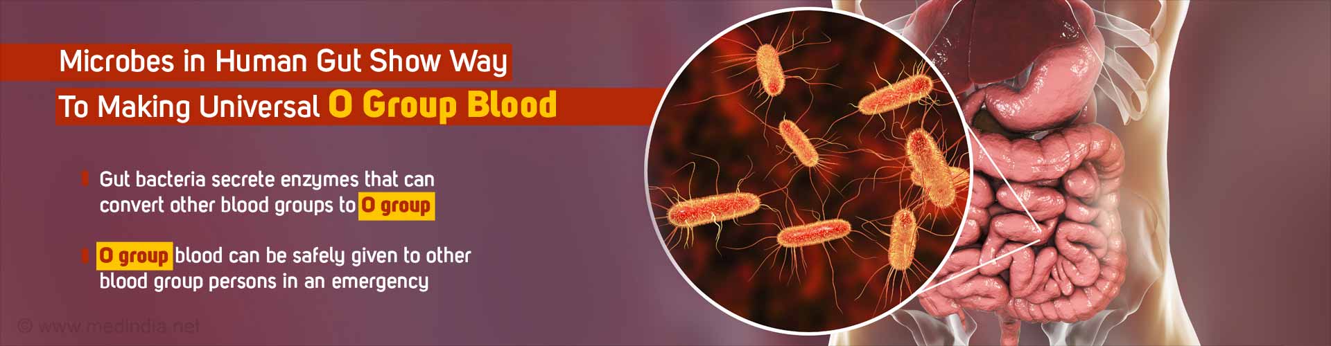 Making Universal Donor O Group Blood From Other Groups