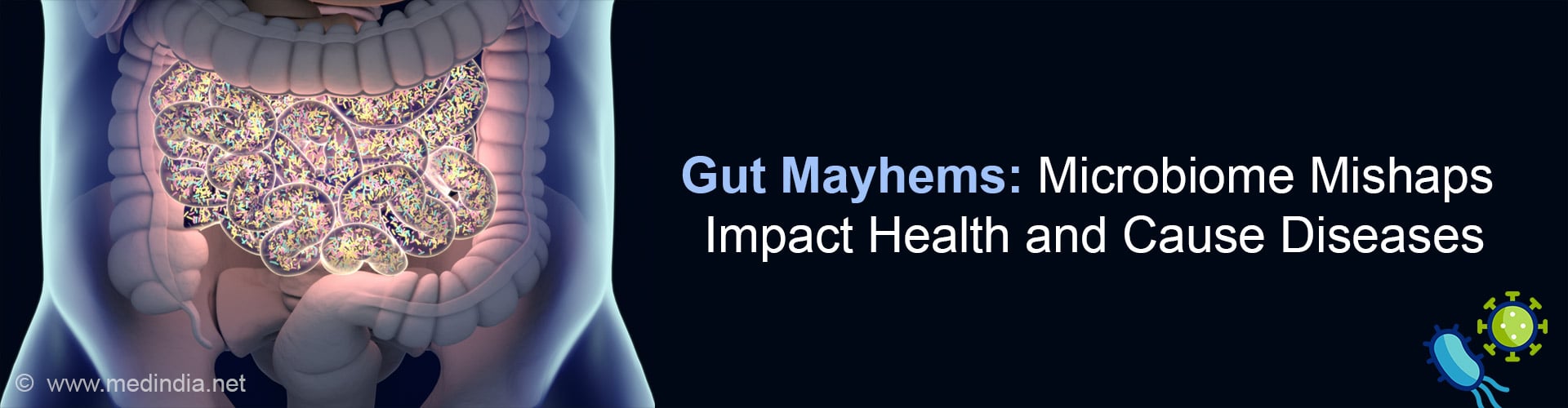 Gut Instinct: Microbes can Make or Break Your Gut Health