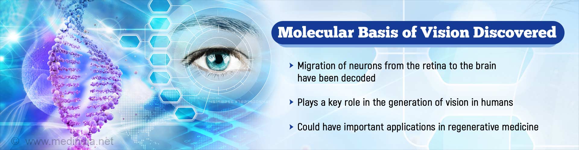 Genetic Mechanisms Involved in Vision Decoded: Here’s How