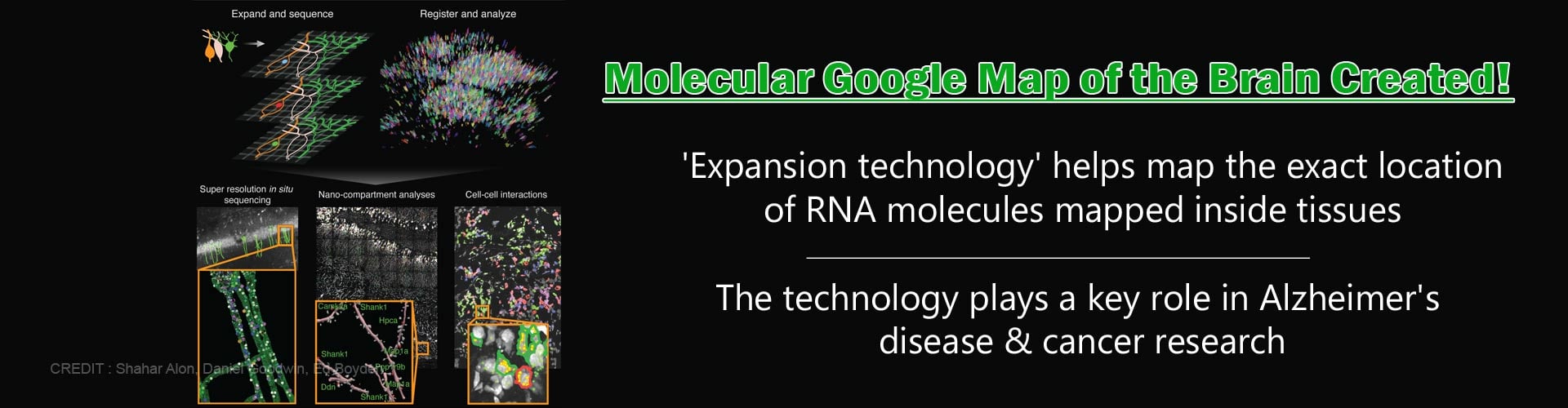 'Google Map' of Brain Signatures the Advent of Molecular Technology
