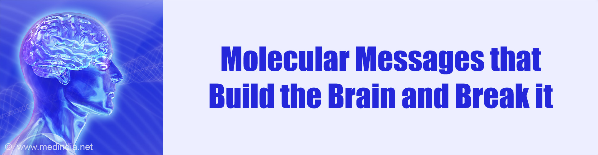 Could a Tiny RNA Tag Hold the Key to Autism and Schizophrenia?