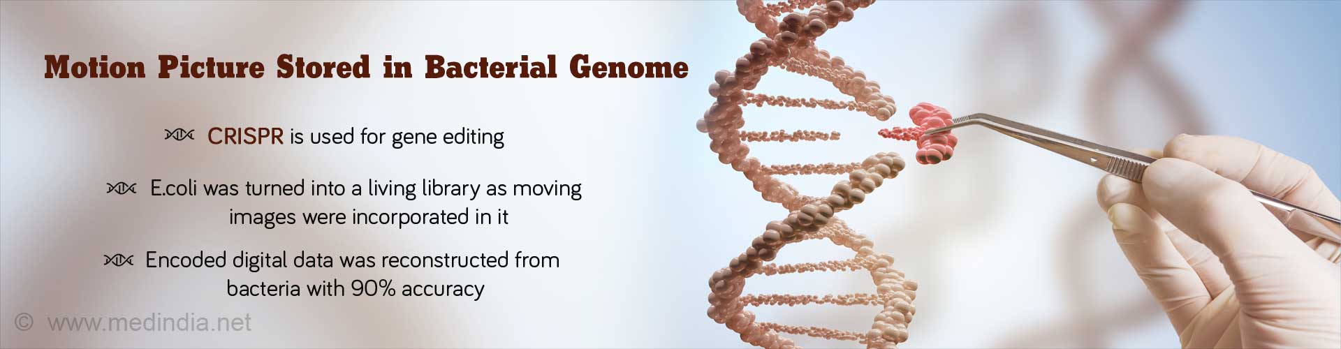 CRISPR Turns E.coli into Digital Data Warehouse