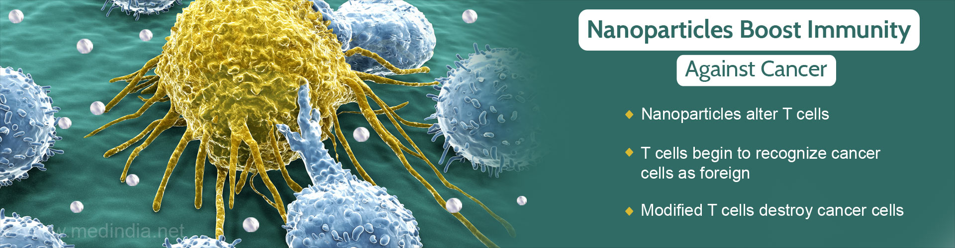 Nanoparticles Hold The Key to Boost Immune Cells Against Cancer
