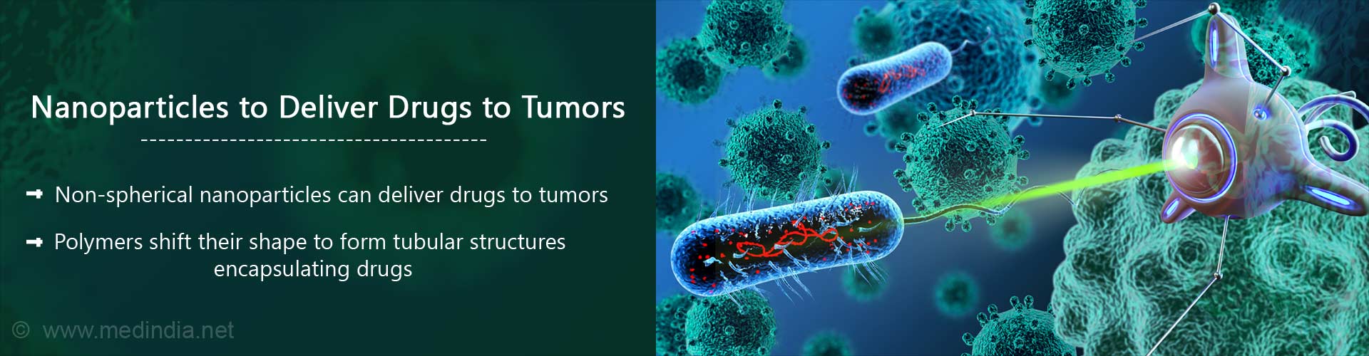  Nanoparticles for Drug Delivery to Tumors Developed