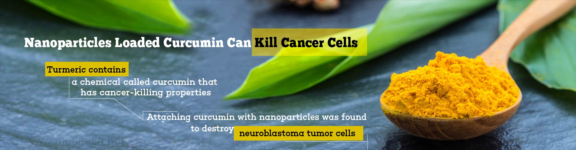 Treatment-Resistant Cancer Cells - Curcumin Nanoparticles In For the Kill