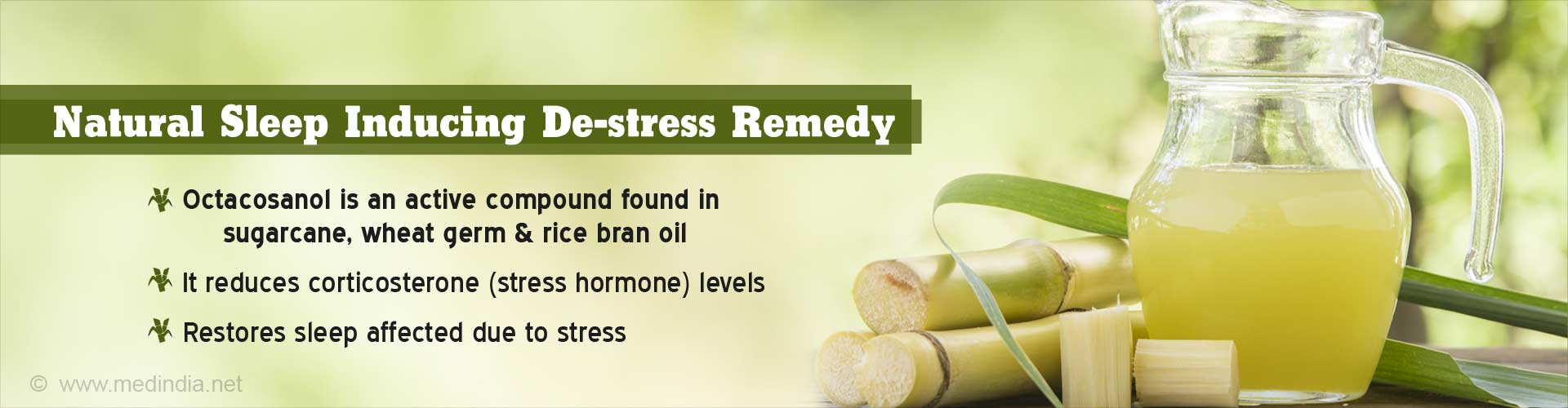 Natural Compound In Sugarcane Restores Sleep, Relieves Stress