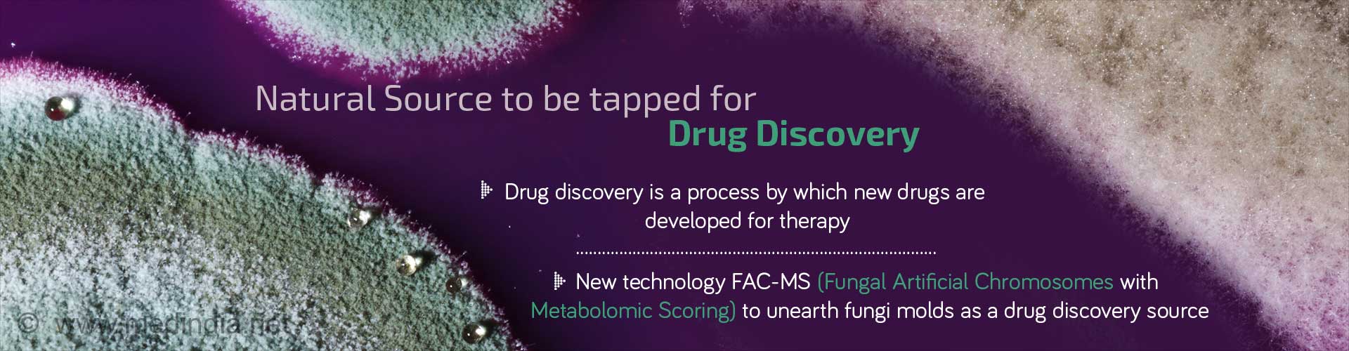Fungi : A Goldmine for Drug Discovery