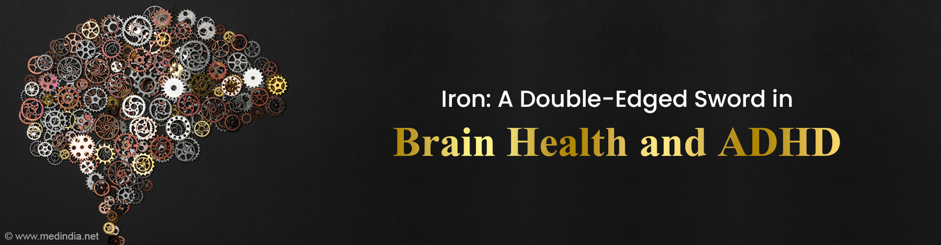 ADHD, Aging, and Brain Iron: Insights into Attention and Cognitive Decline ADHD, Aging, and Brain Iron: Insights into Attention and Cognitive Decline