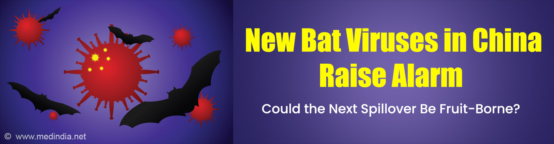 New Bat Viruses Found in China Raise Global Spillover Concerns
