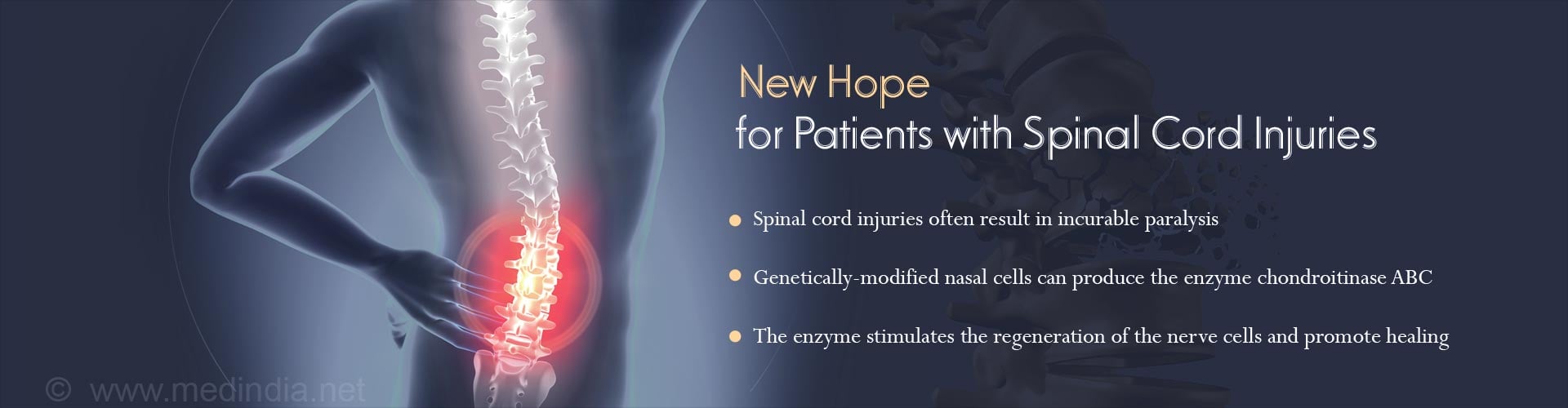 Genetically-Modified Nasal Cells can Potentially Treat Spinal Cord Injuries Genetically-Modified Nasal Cells can Potentially Treat Spinal Cord Injuries