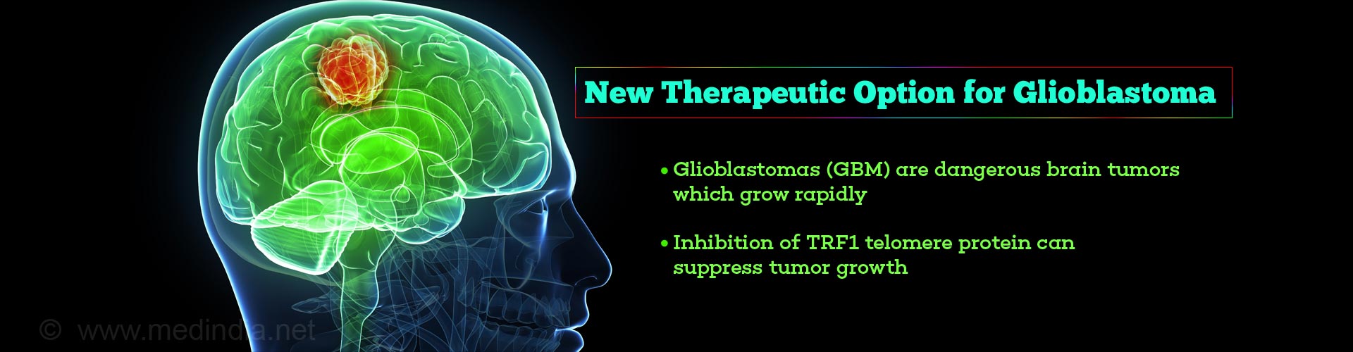 Novel Targeted Therapy Against Glioblastoma
