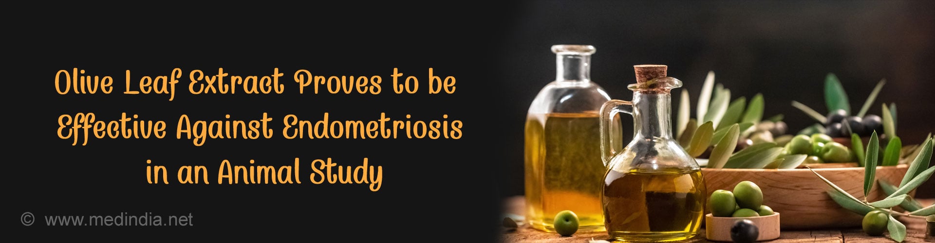 Olive Leaf Extract Could be the Next Treatment for Endometriosis