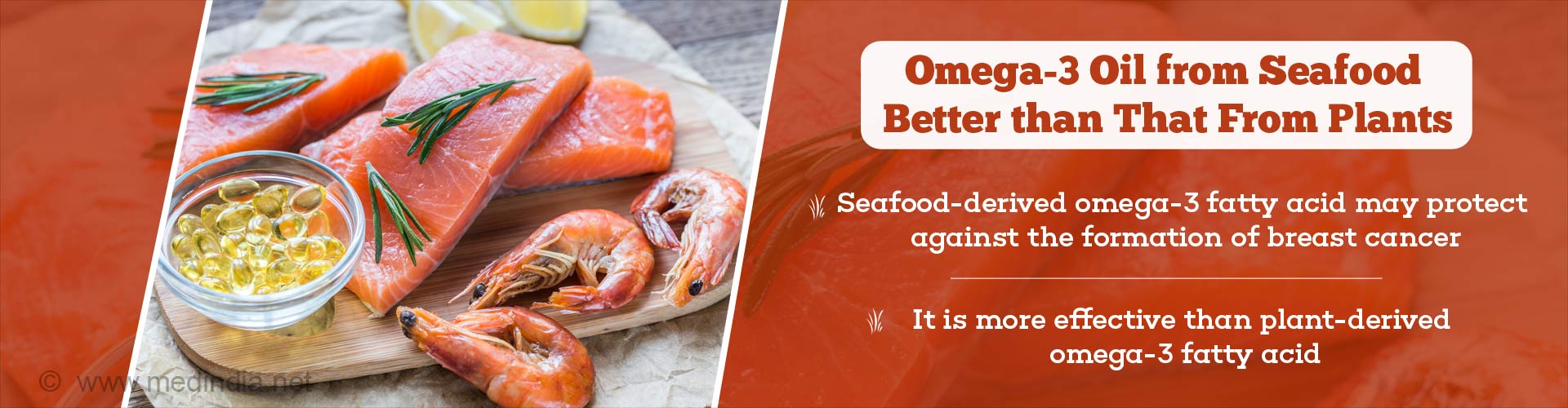 Omega-3 Oil from Seafood Better Than That From Plants