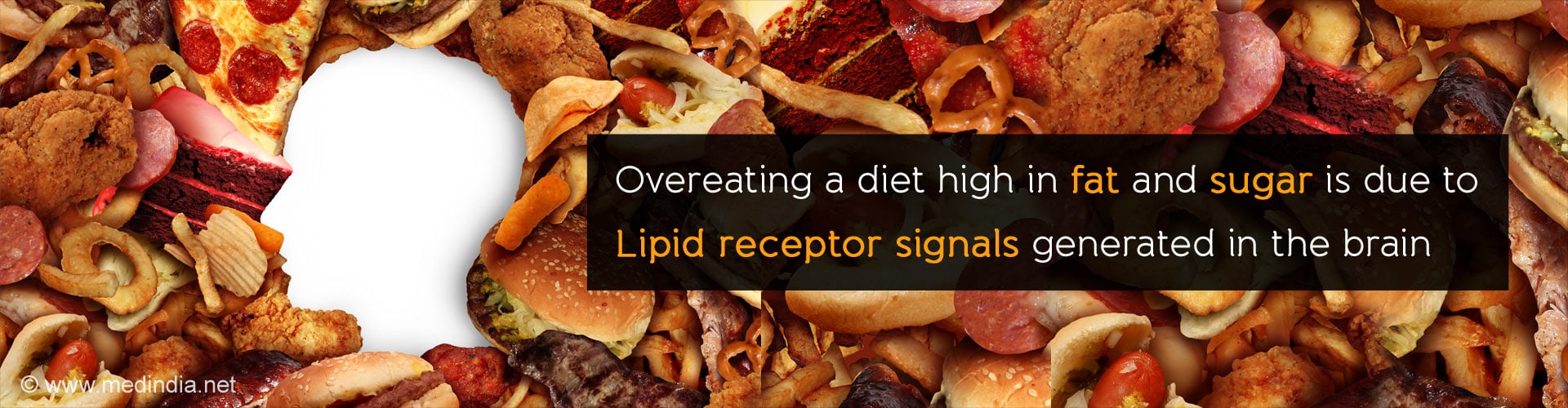 Secret Behind Western Diet’s Influence on Overeating and Obesity Secret Behind Western Diet’s Influence on Overeating and Obesity