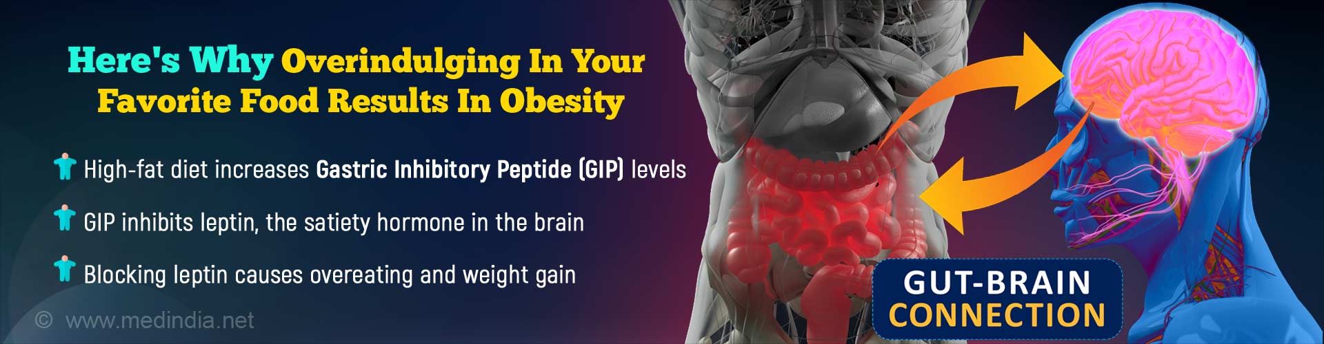 Gut-brain Connection Explains How Overeating Causes Weight Gain