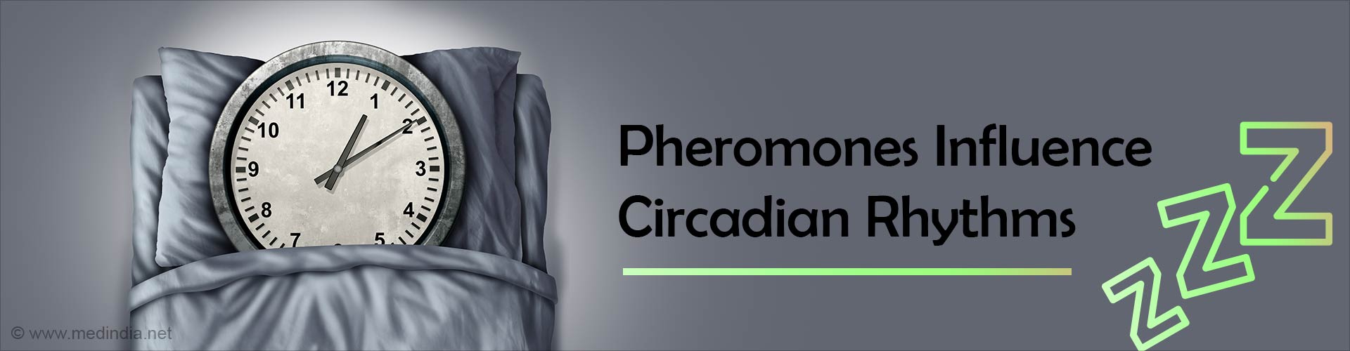 How Pheromones Shape Biological Clocks
