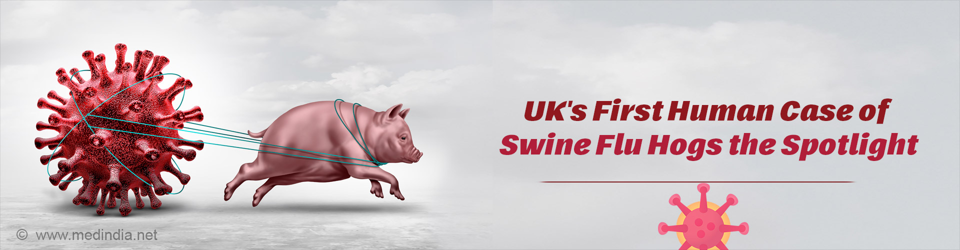 Pig Flu to Humans : UK Detects First Human Case of H1N2