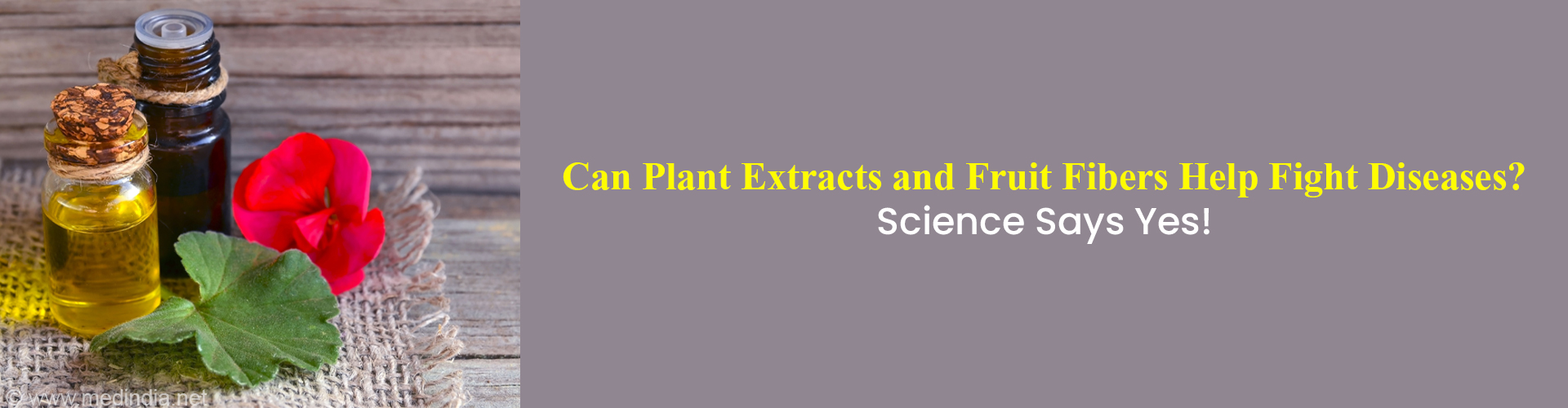 Can Plant Extracts Replace Antibiotics?