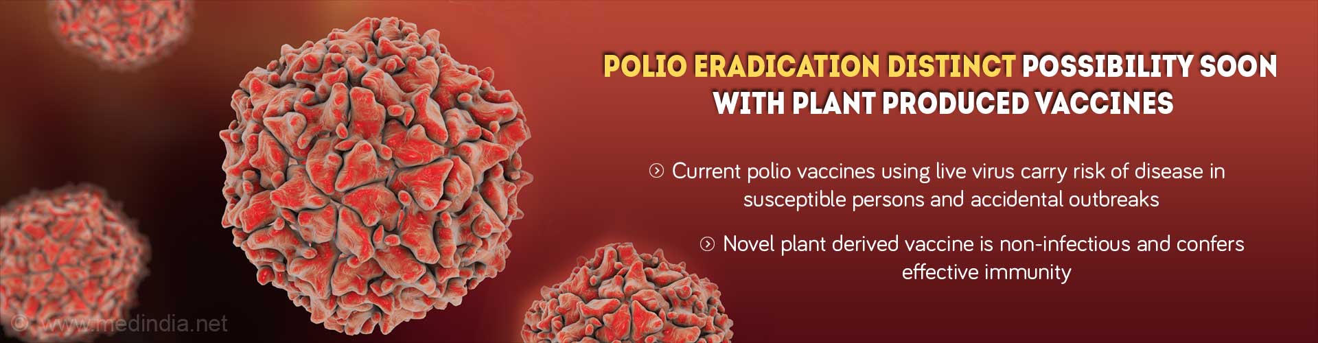 Plant Produced Polio Vaccines Could Make Global Polio Eradication A Reality Plant Produced Polio Vaccines Could Make Global Polio Eradication A Reality