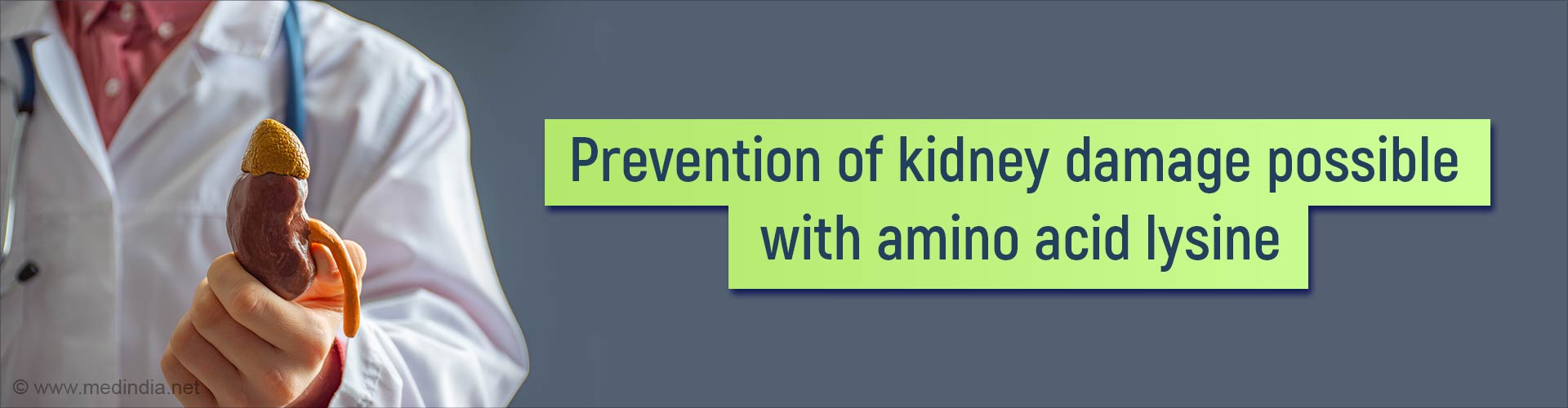 Can Kidney Disease be Cured With Diet?