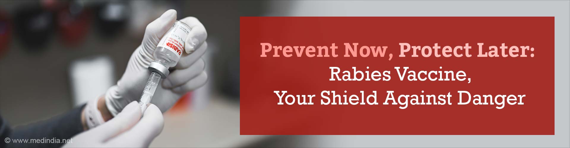 14-Year-Old Succumbed to Rabies After 1.5 Months of Dog Bite: Know the Precautions