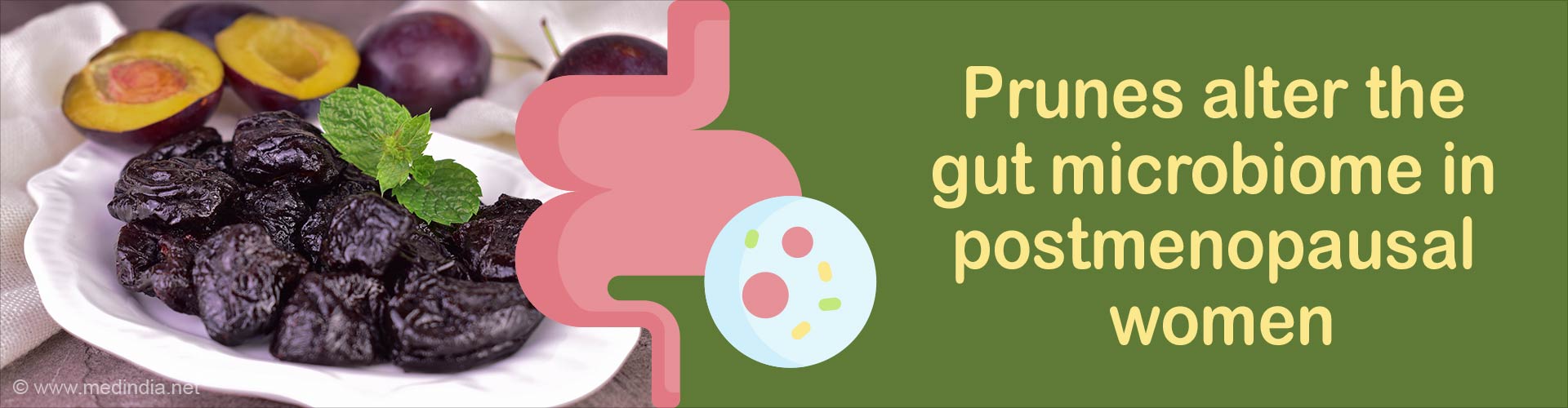 Prunes for Postmenopause