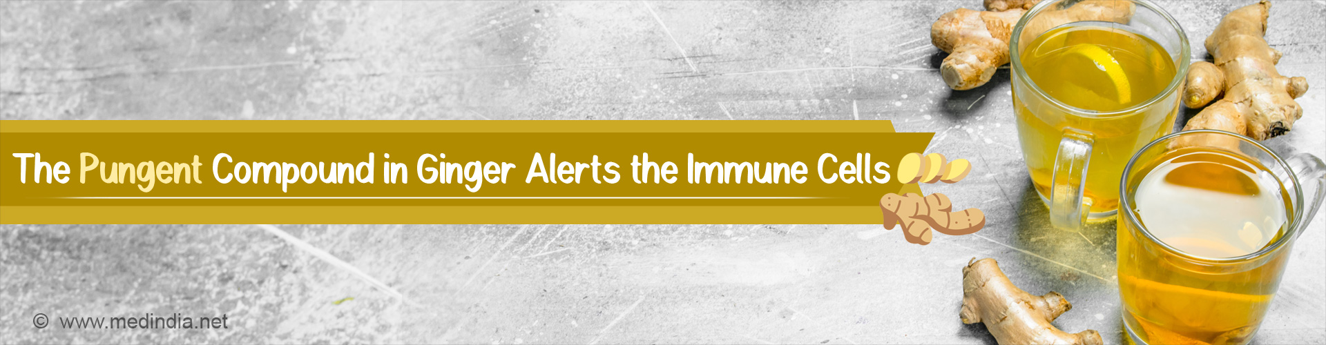 Pungent Compound in Ginger Puts Immune System on Alert