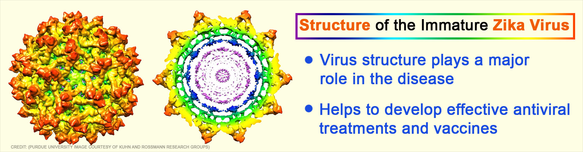 New Insights Detail Immature Zika Virus Structure