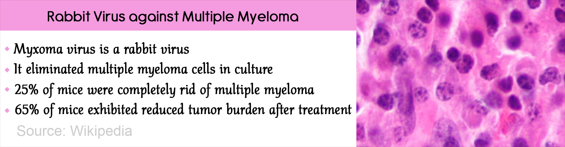 Rabbit Virus Eliminates Multiple Myeloma Cells
