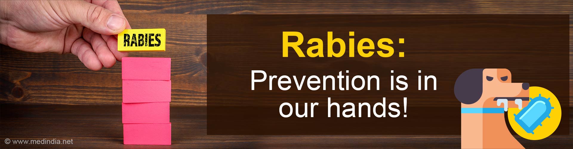 World Rabies Day's Fight Against a Silent Killer