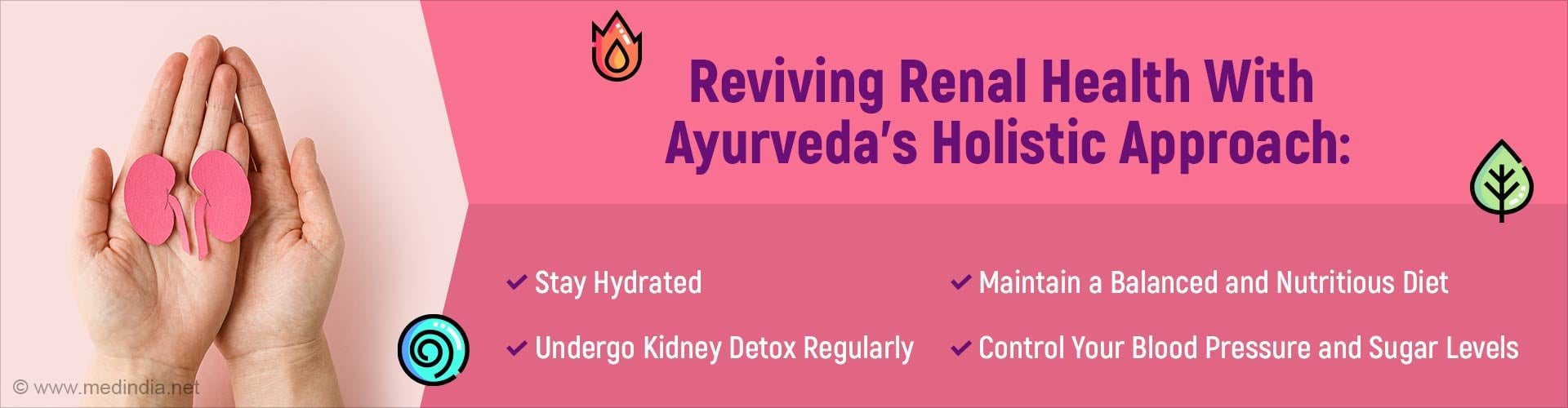 Maintaining Kidney Health The Ayurveda Way