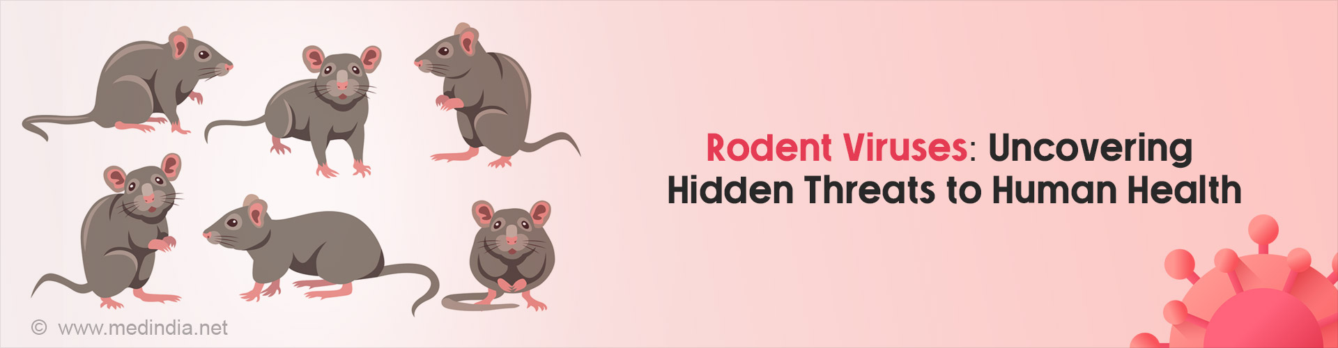 Next Pandemic Threat: 8 Novel Viruses from Rodents
