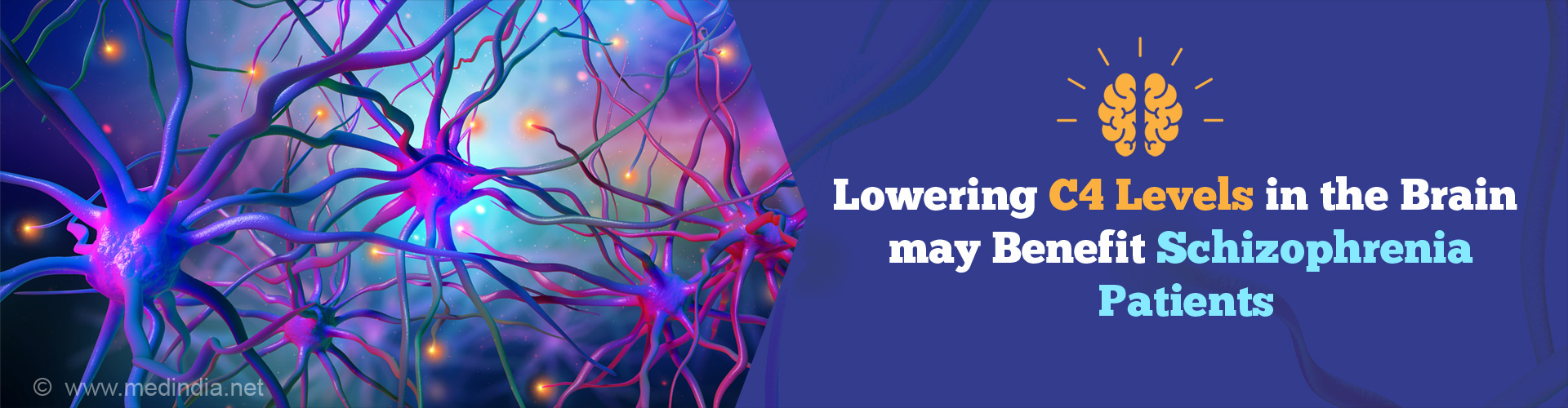 Protein in the Brain Could be New Drug Target for Schizophrenia