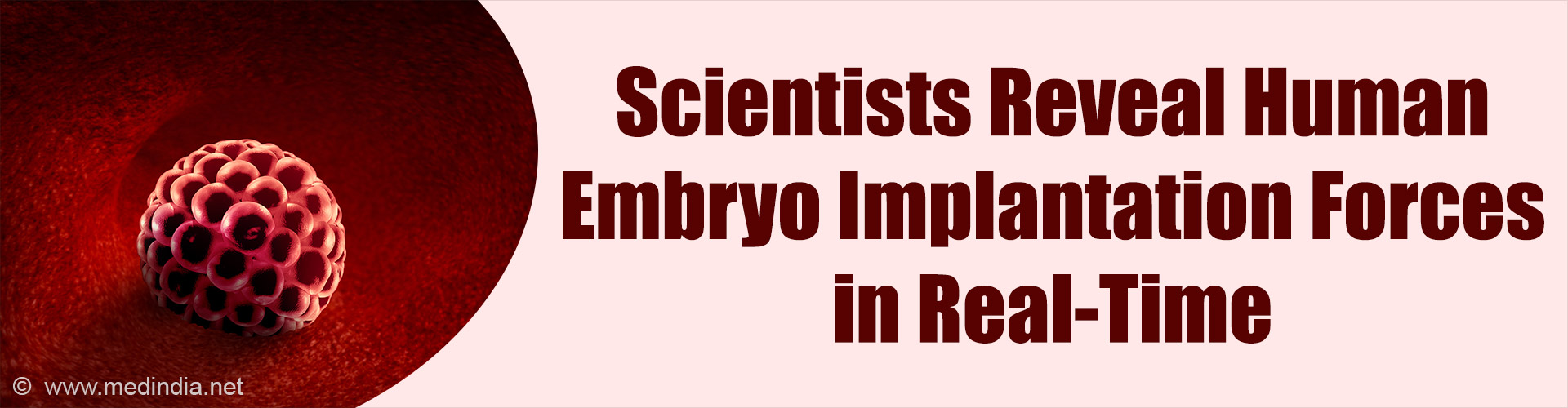 Human Embryo Implantation Captured in 3D Inside the Uterus for the First Time