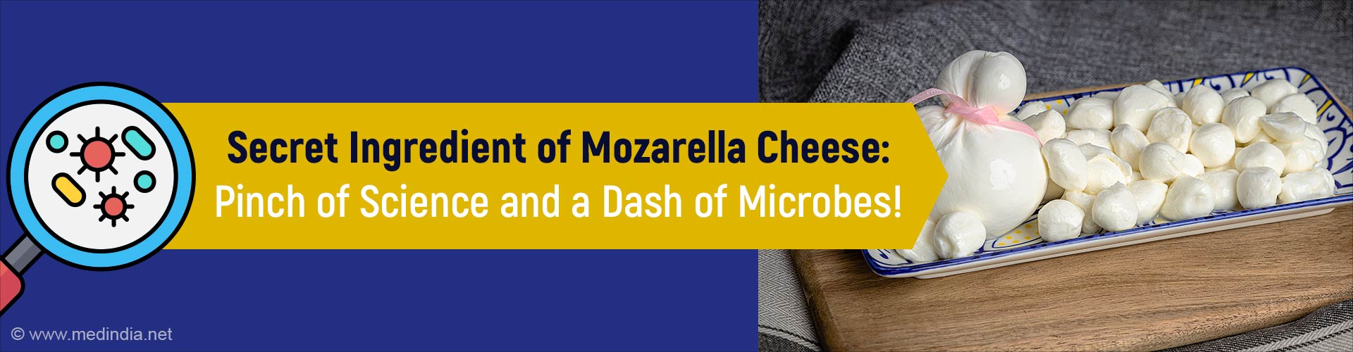 Microbial Secrets For Production of Traditional Mozzarella