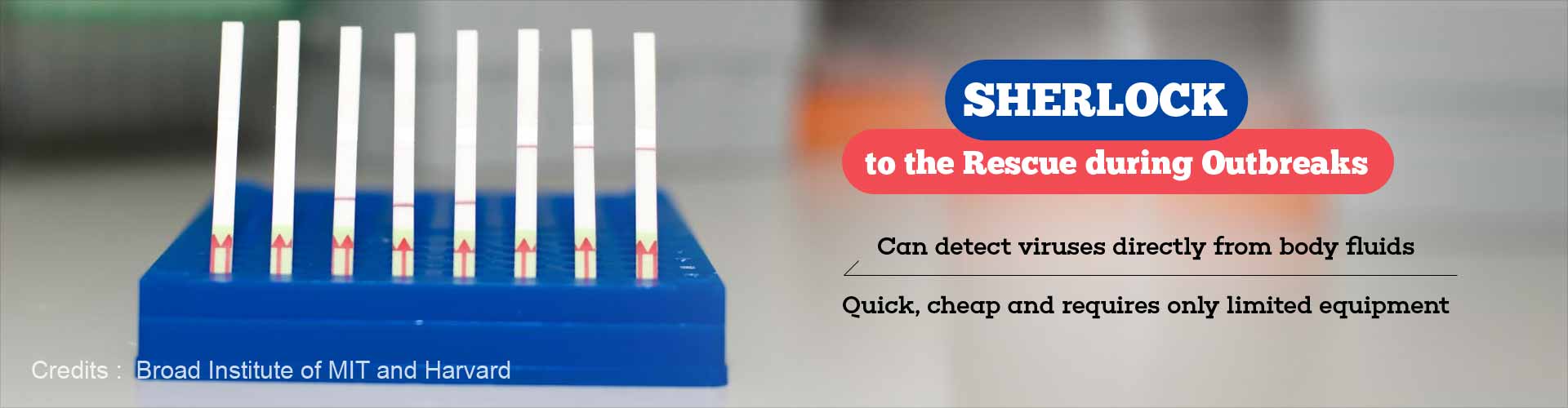 SHERLOCK to Detect Viruses Directly from Blood