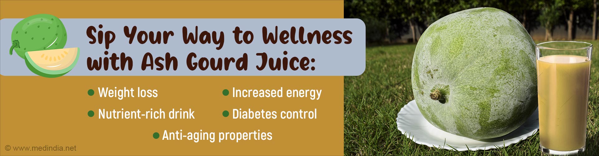 Slim Down Naturally With Ash Gourd Juice Slim Down Naturally With Ash Gourd Juice