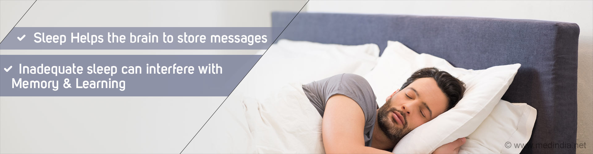 Sleeping Helps Refresh Brain To Store More Information, Memories