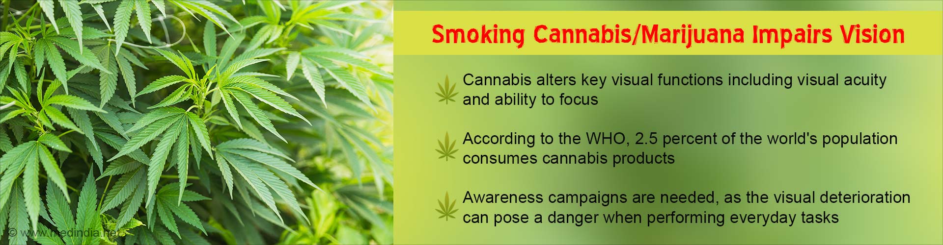 Smoking Cannabis Causes Vision Impairment