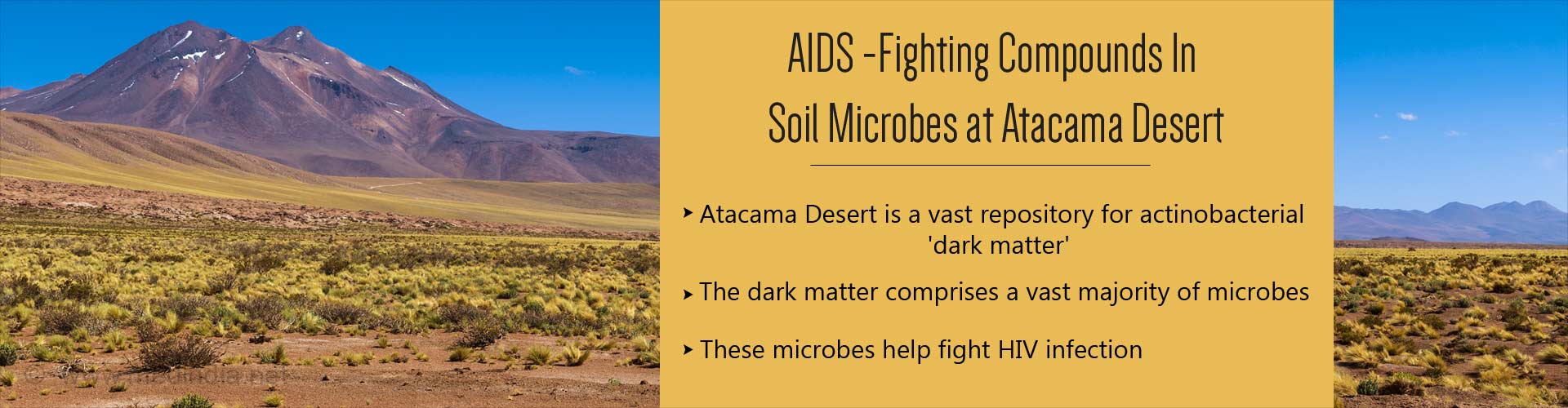 Soil Microbes in Atacama Desert Possess Compounds That Fight HIV