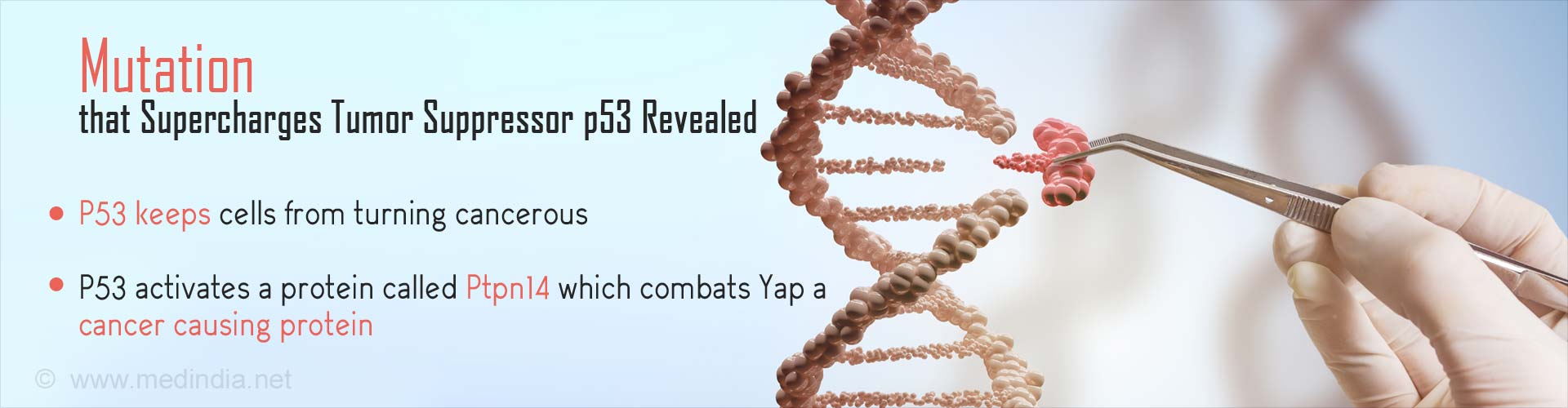 Stanford-led Study Uncovers Secrets of P53 Tumor Suppressor Stanford-led Study Uncovers Secrets of P53 Tumor Suppressor