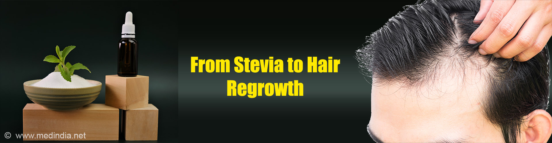 How Stevia May Offer New Hope for Hair Loss