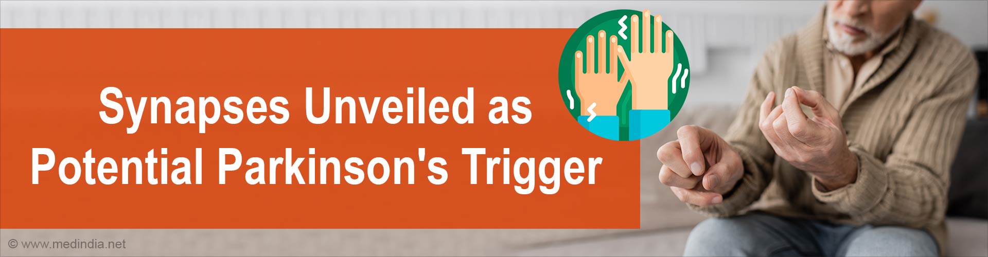 Parkinson's Disease: Could Synapse Dysfunction Be the Key?