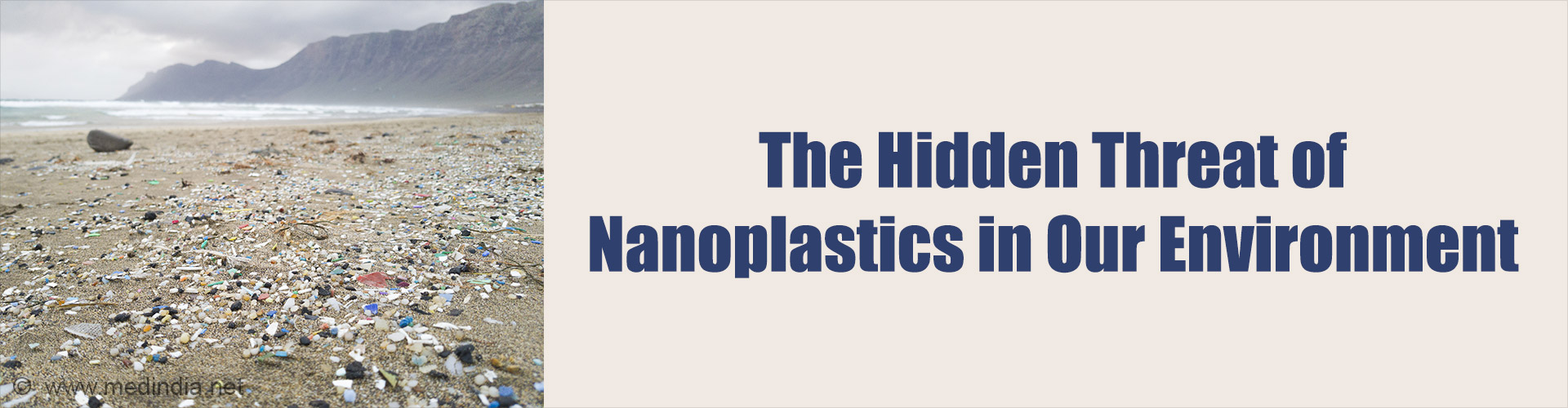 How Environmental Coatings Make Nanoplastics More Harmful