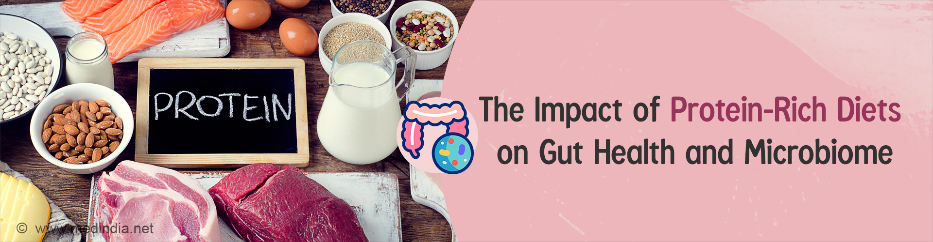 How Protein-Rich Diets Shape Your Gut Microbiome