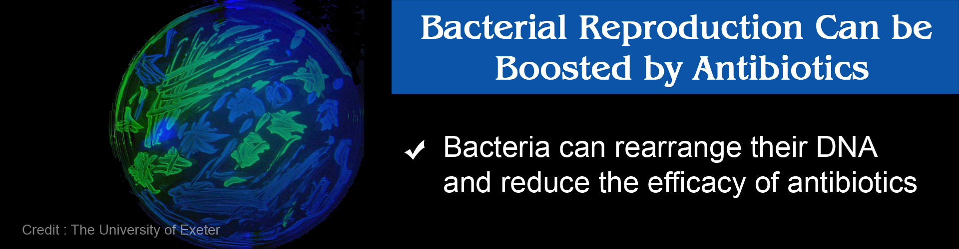 Antibiotics Stimulate the Growth of Bacteria Antibiotics Stimulate the Growth of Bacteria
